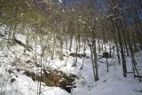 Изображение ландшафта
