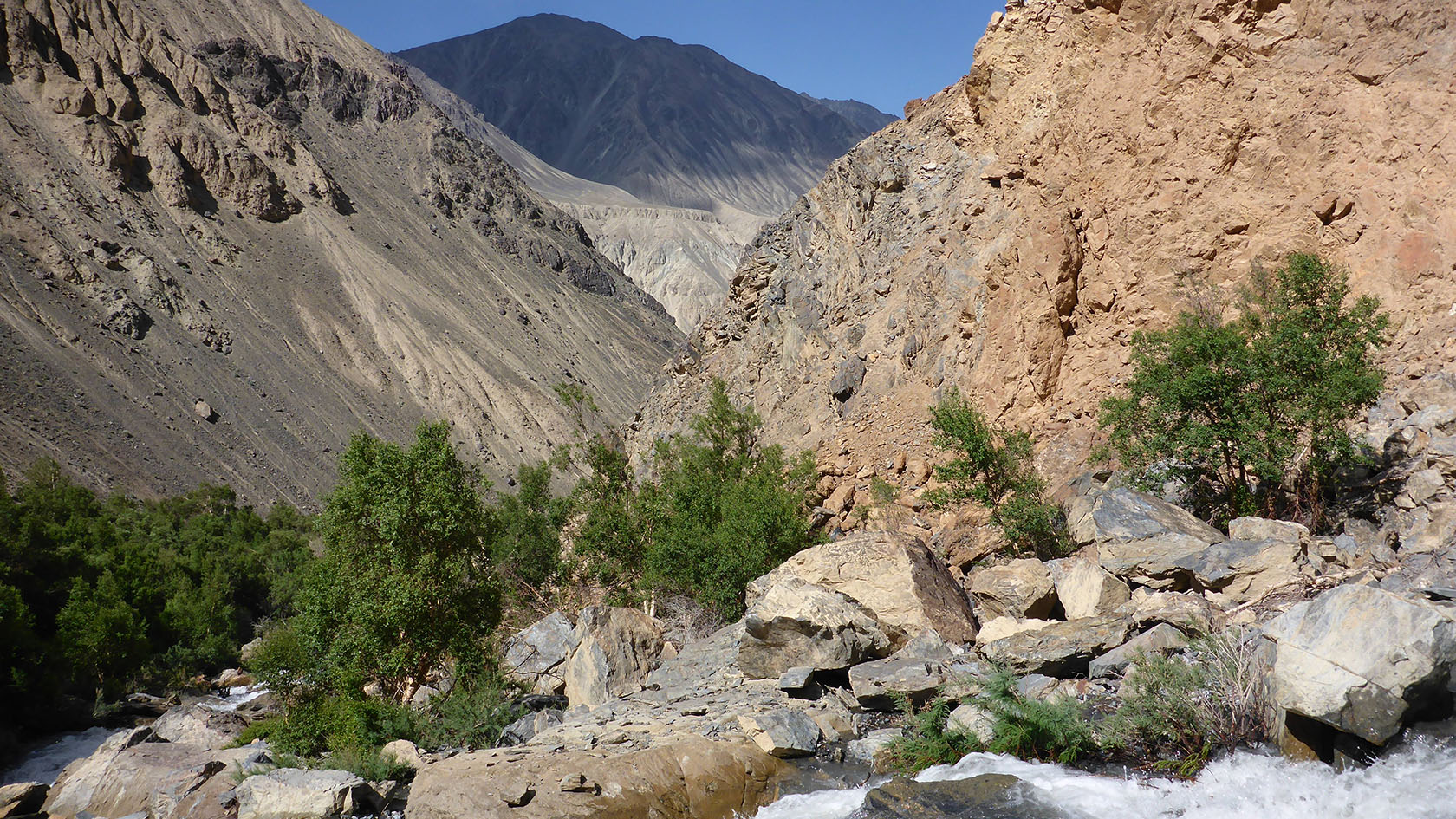 Берёзовая, image of landscape/habitat.