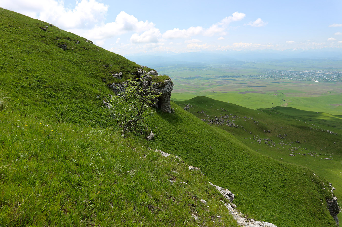 Джангур, image of landscape/habitat.