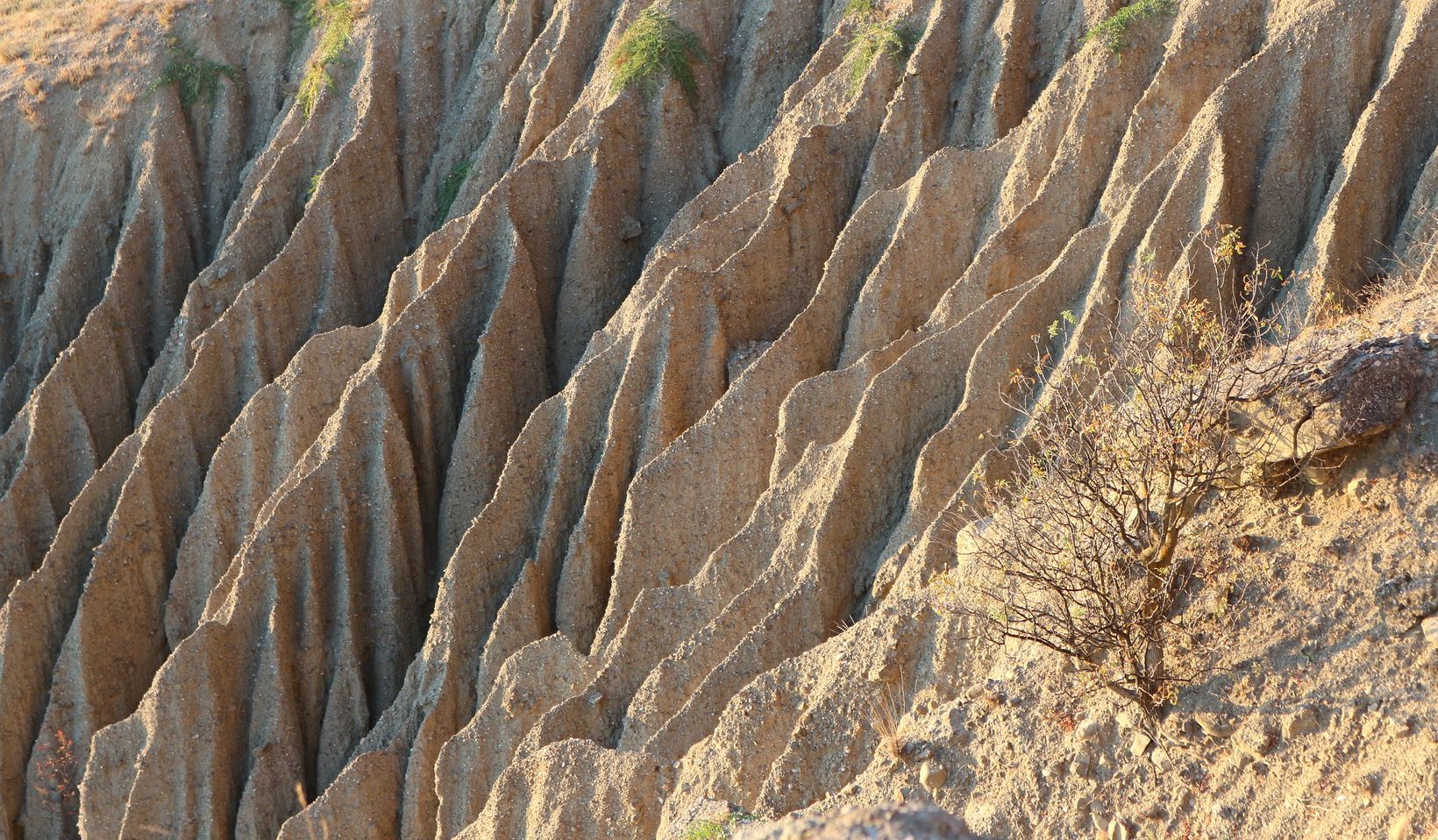 Меганом, image of landscape/habitat.