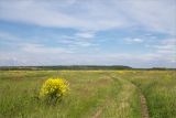 Камское Устье, image of landscape/habitat.