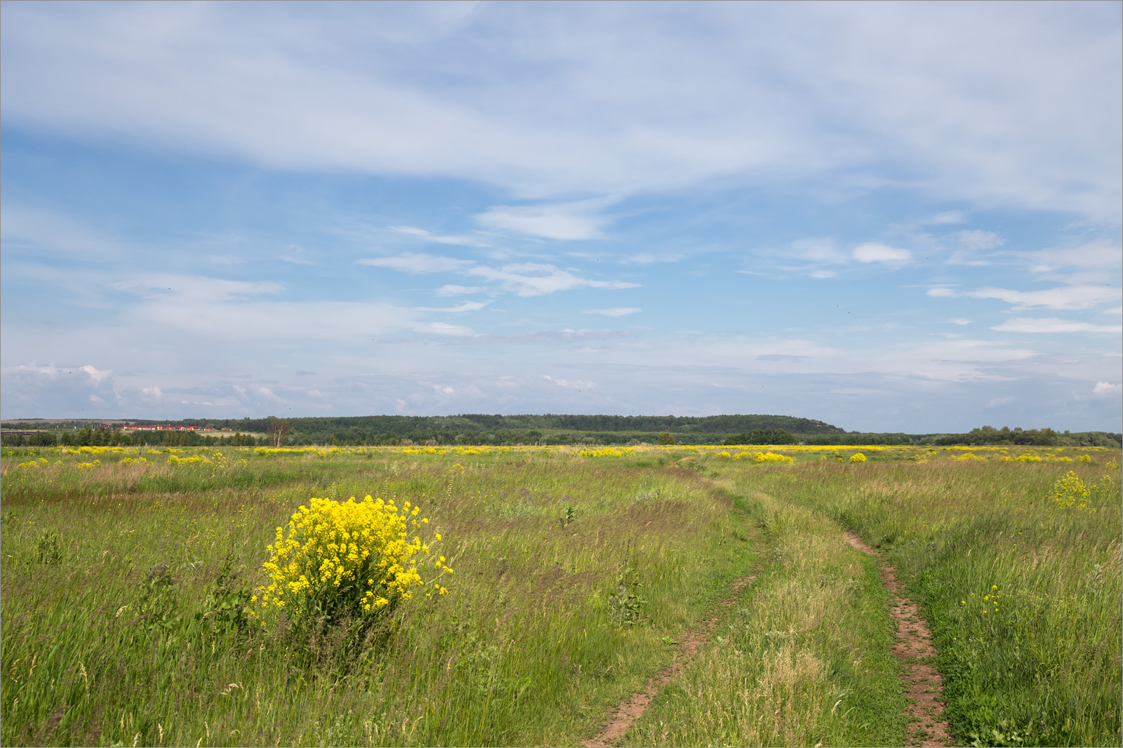 Камское Устье, image of landscape/habitat.