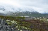 Image of landscape