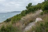 Image of landscape