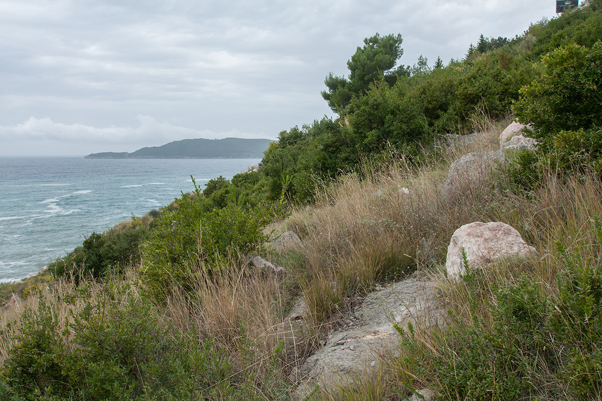 Пржно и Каменово, image of landscape/habitat.