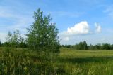 Image of landscape