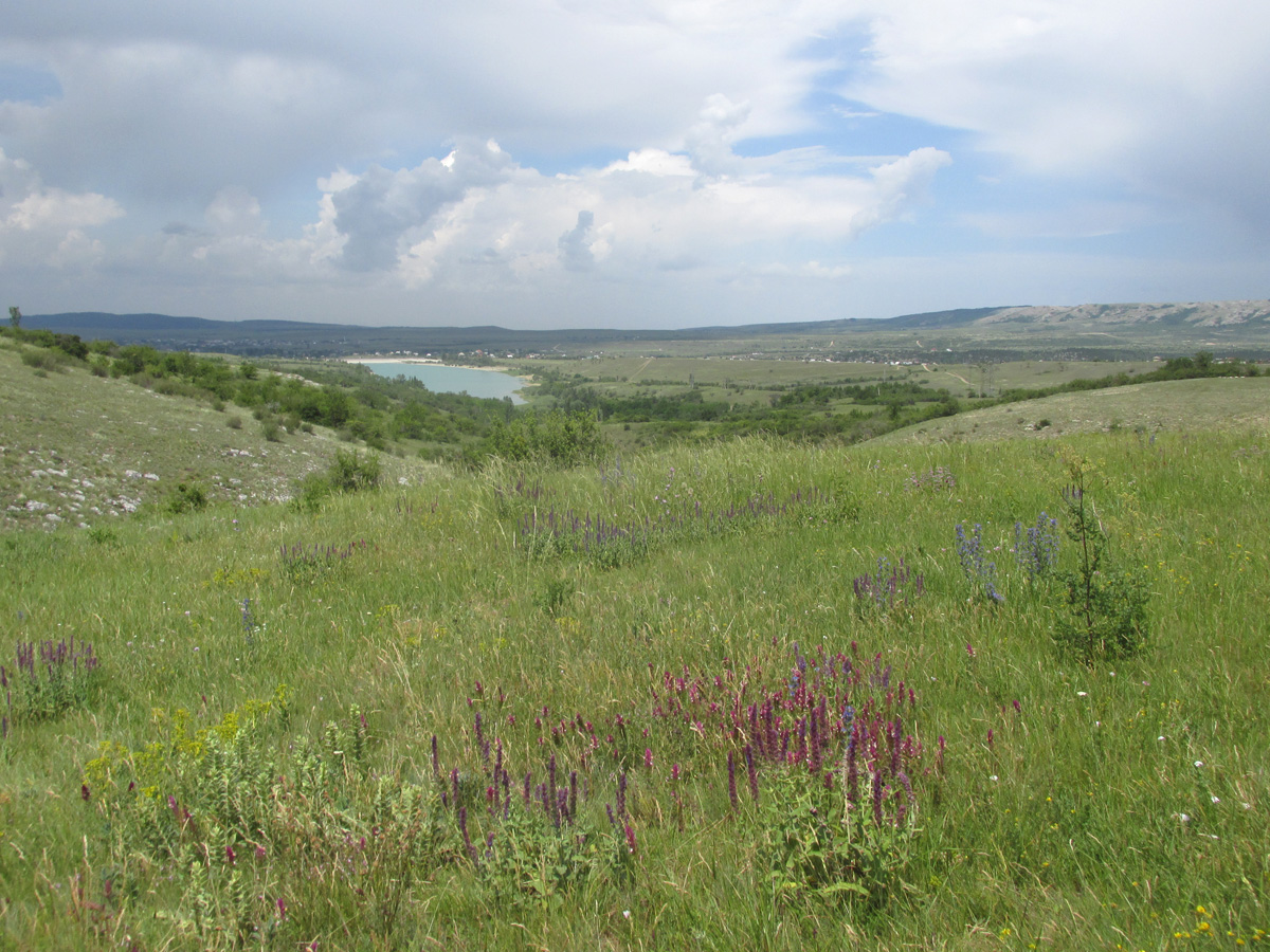 Урочище Аян, image of landscape/habitat.