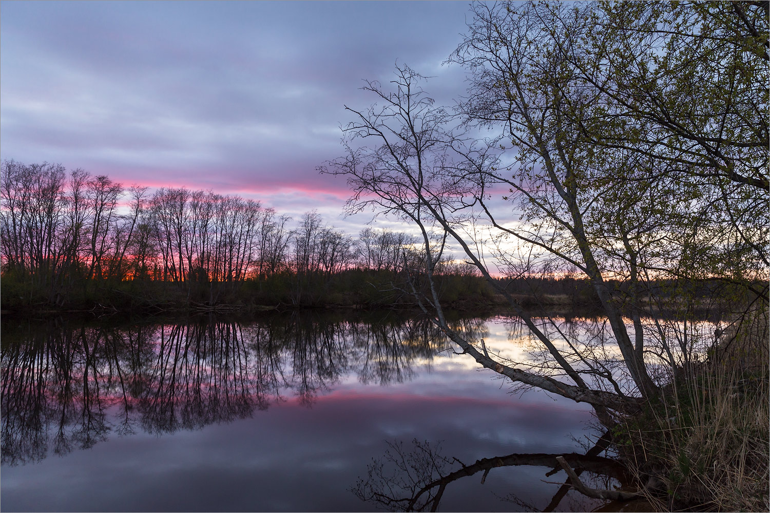 Нижняя Луга, image of landscape/habitat.