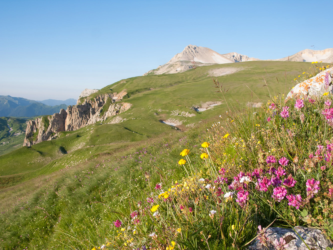 Блям, image of landscape/habitat.