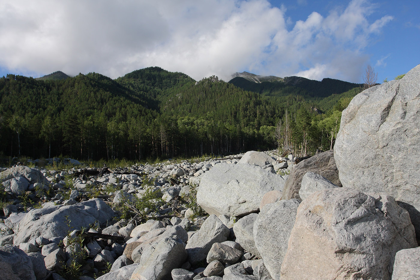 Аршан, image of landscape/habitat.