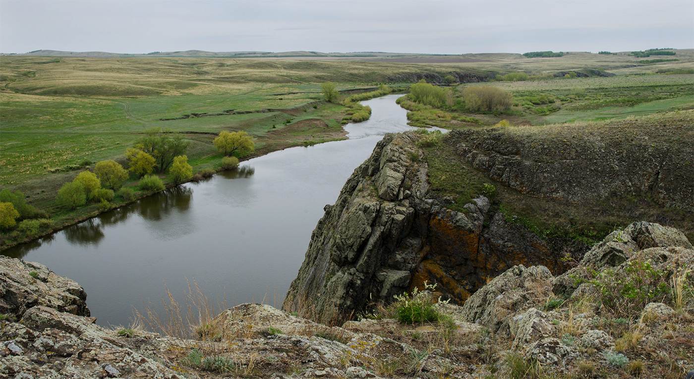 Богдановское, image of landscape/habitat.