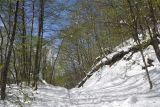 Вход перед штольней № 3, image of landscape/habitat.
