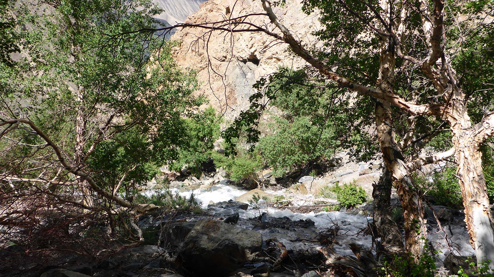 Берёзовая, image of landscape/habitat.