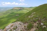 Джангур, image of landscape/habitat.