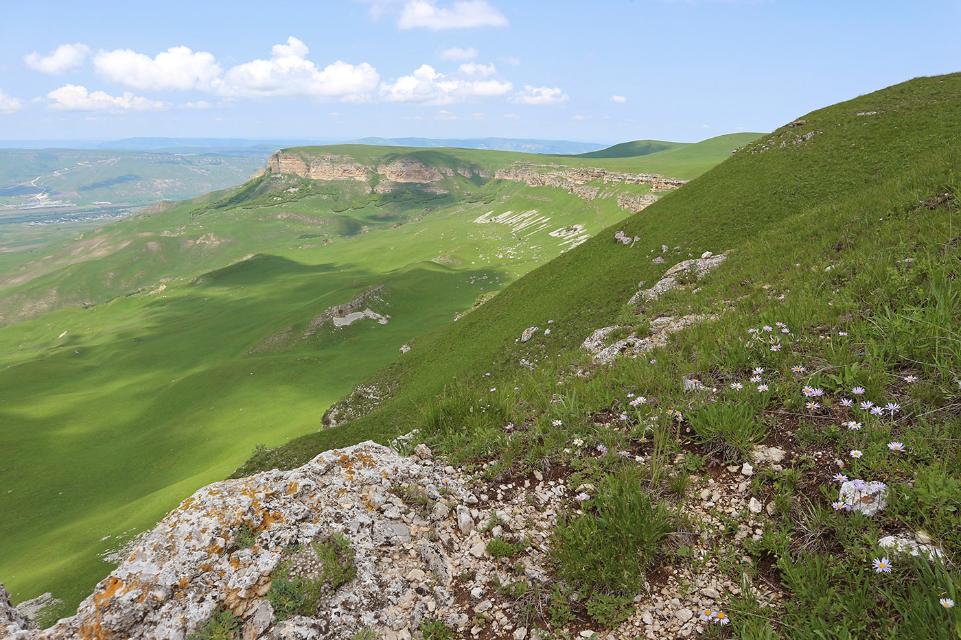 Джангур, image of landscape/habitat.