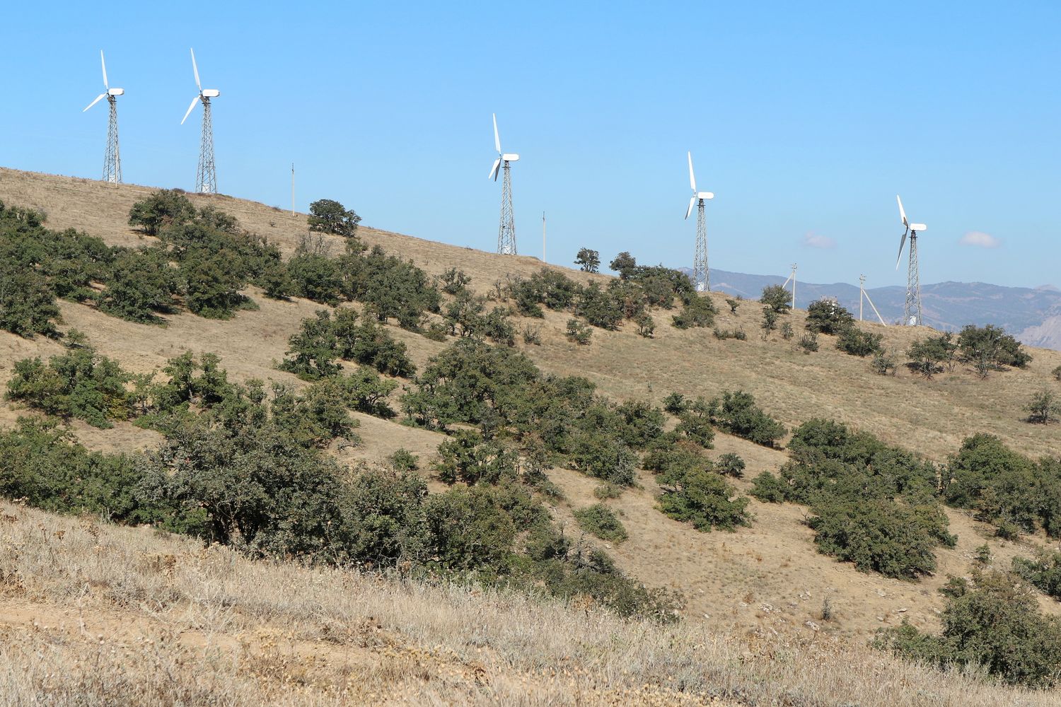 Меганом, image of landscape/habitat.