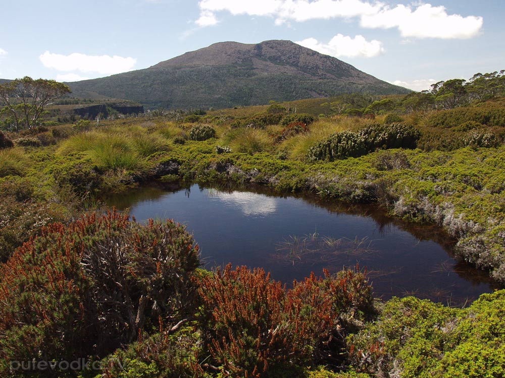 Крэдл Маунтин, image of landscape/habitat.