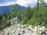 Image of landscape