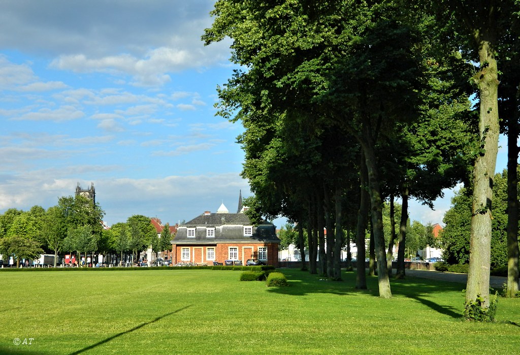 Мюнстер, image of landscape/habitat.