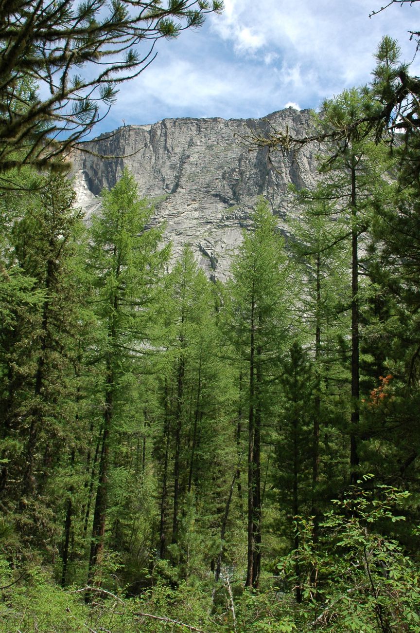 Ущелье реки Текелю, image of landscape/habitat.