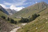 Image of landscape