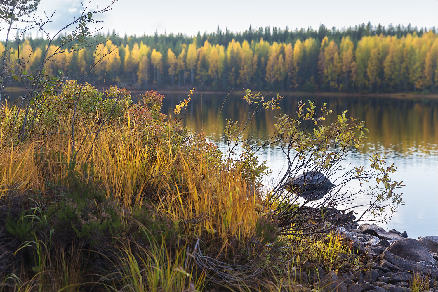 Сонго, image of landscape/habitat.