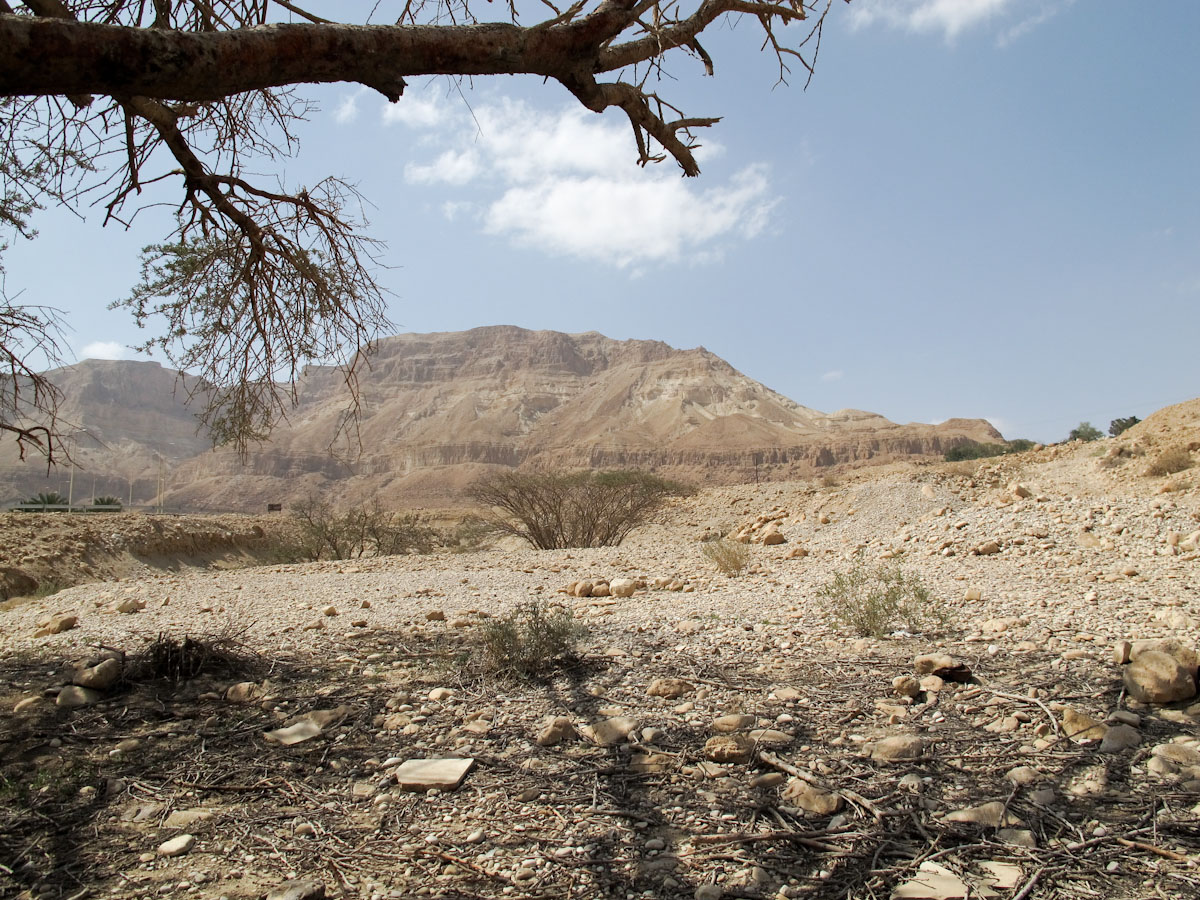 Эйн-Геди, image of landscape/habitat.