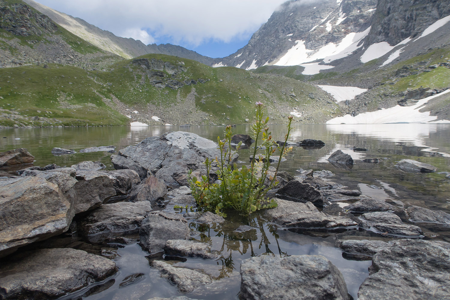 Озеро Тихое, image of landscape/habitat.