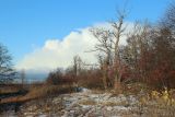 Image of landscape