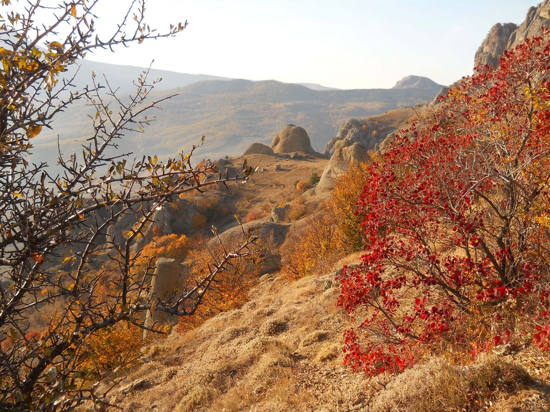 Южная Демерджи, image of landscape/habitat.