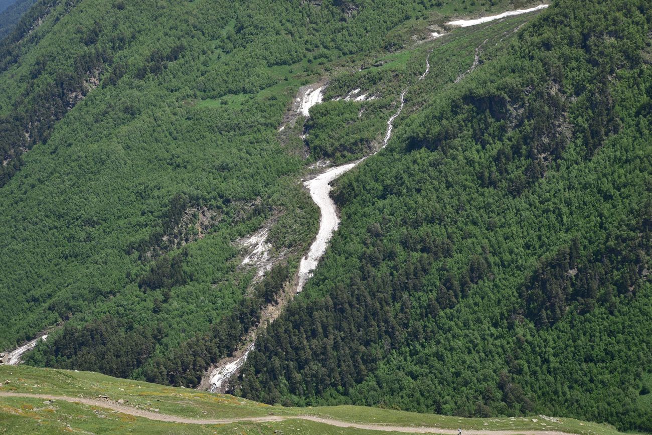 Гора Донгуз-Орун-Гитче-Кара-Баши, image of landscape/habitat.
