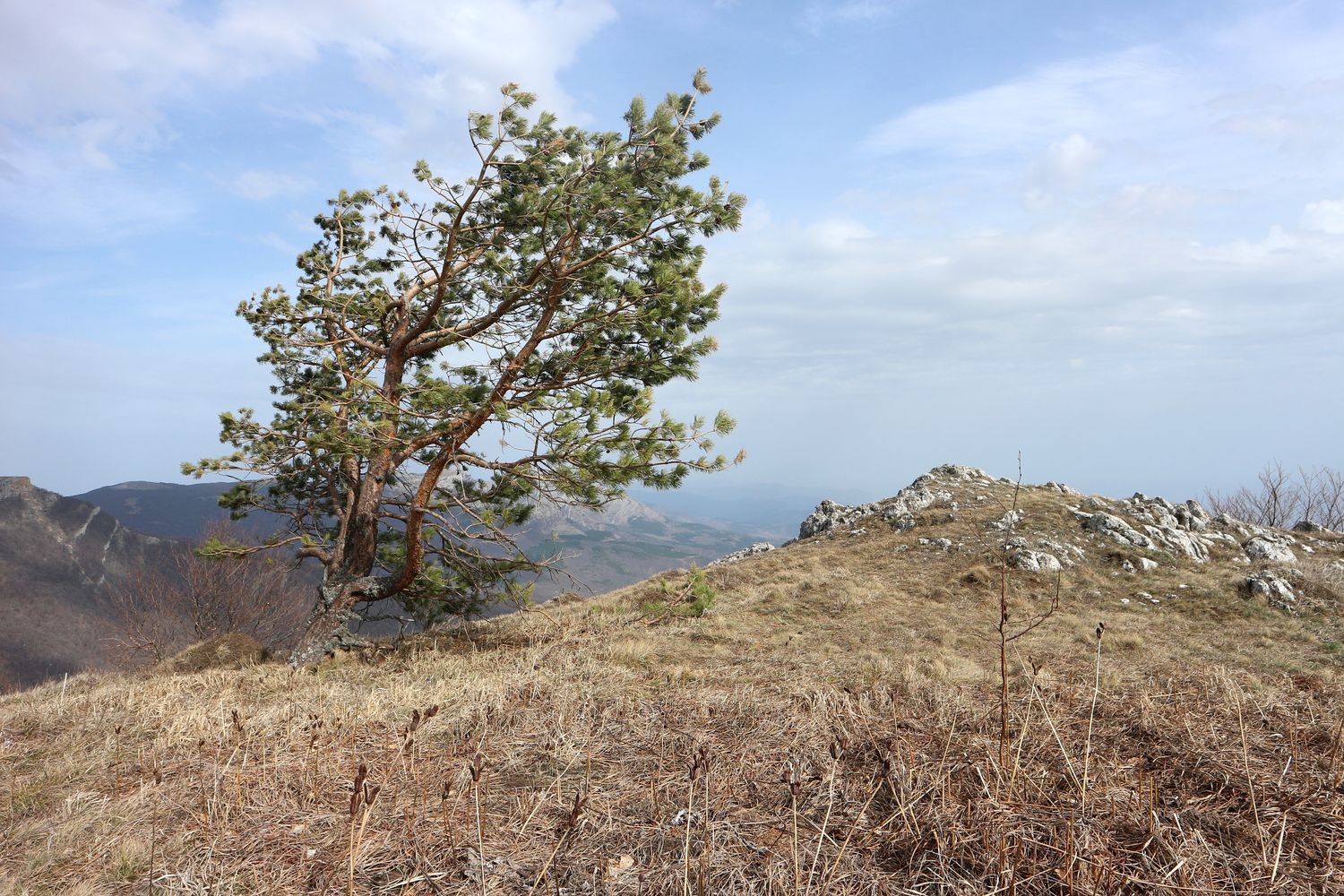 Перья Хапхала, изображение ландшафта.