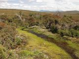 Крэдл Маунтин, image of landscape/habitat.