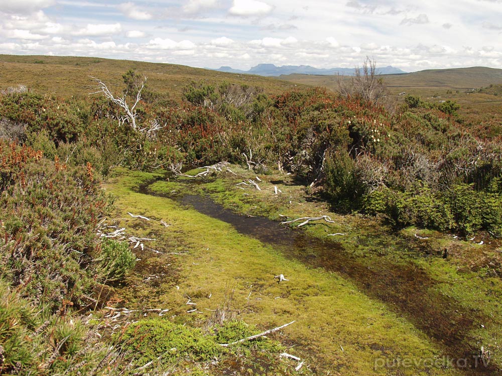 Крэдл Маунтин, image of landscape/habitat.