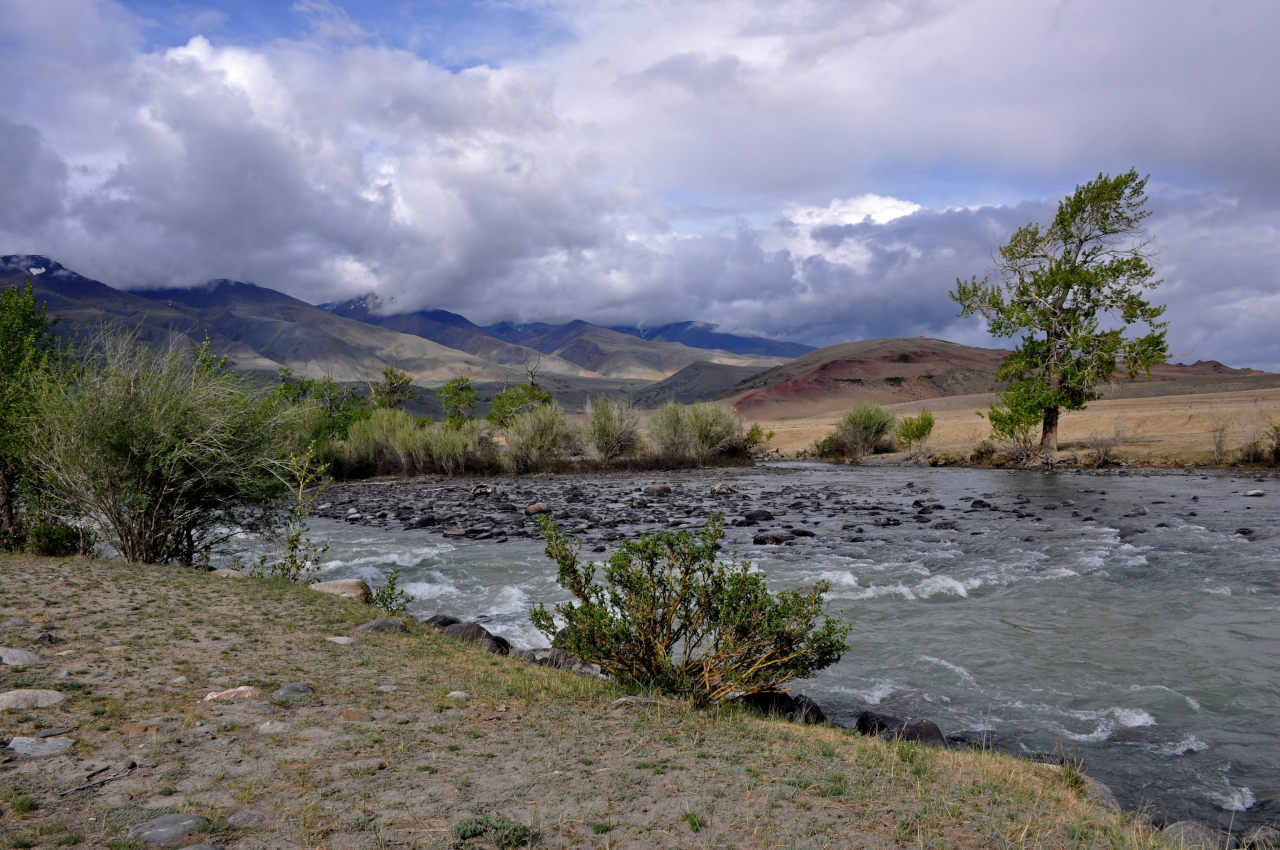 Долина реки Чаган-Узун, image of landscape/habitat.