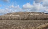 Стенки Изгорья, image of landscape/habitat.