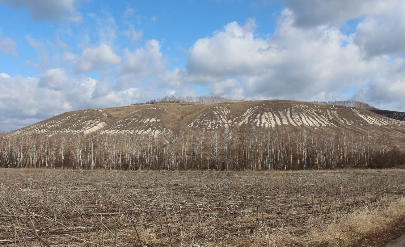 Стенки Изгорья, image of landscape/habitat.