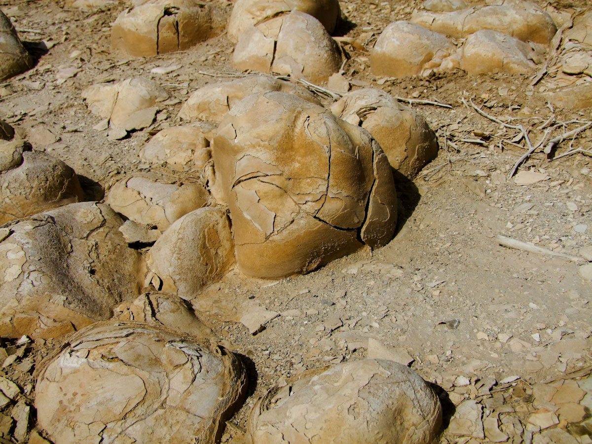 Эйн-Геди, image of landscape/habitat.