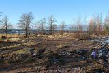 Image of landscape