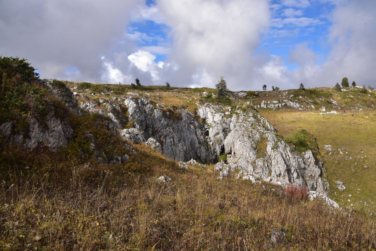 Плато Лагонаки, image of landscape/habitat.