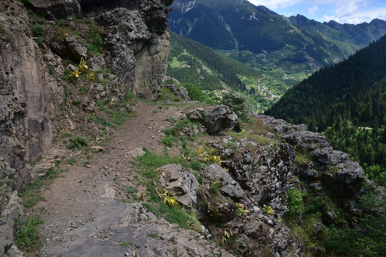 Окрестности монастыря Парехи, image of landscape/habitat.