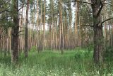 Изображение ландшафта