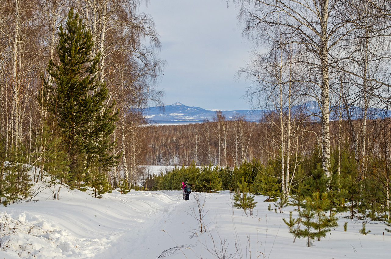 Окрестности села Рысакаево, image of landscape/habitat.