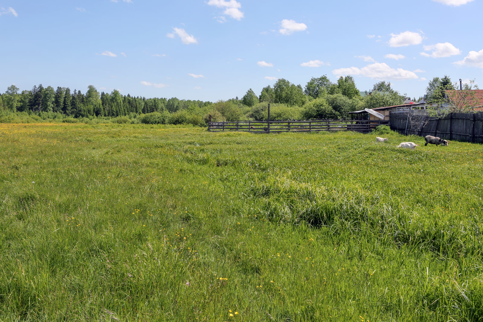 Заборная, image of landscape/habitat.