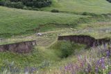 Image of landscape