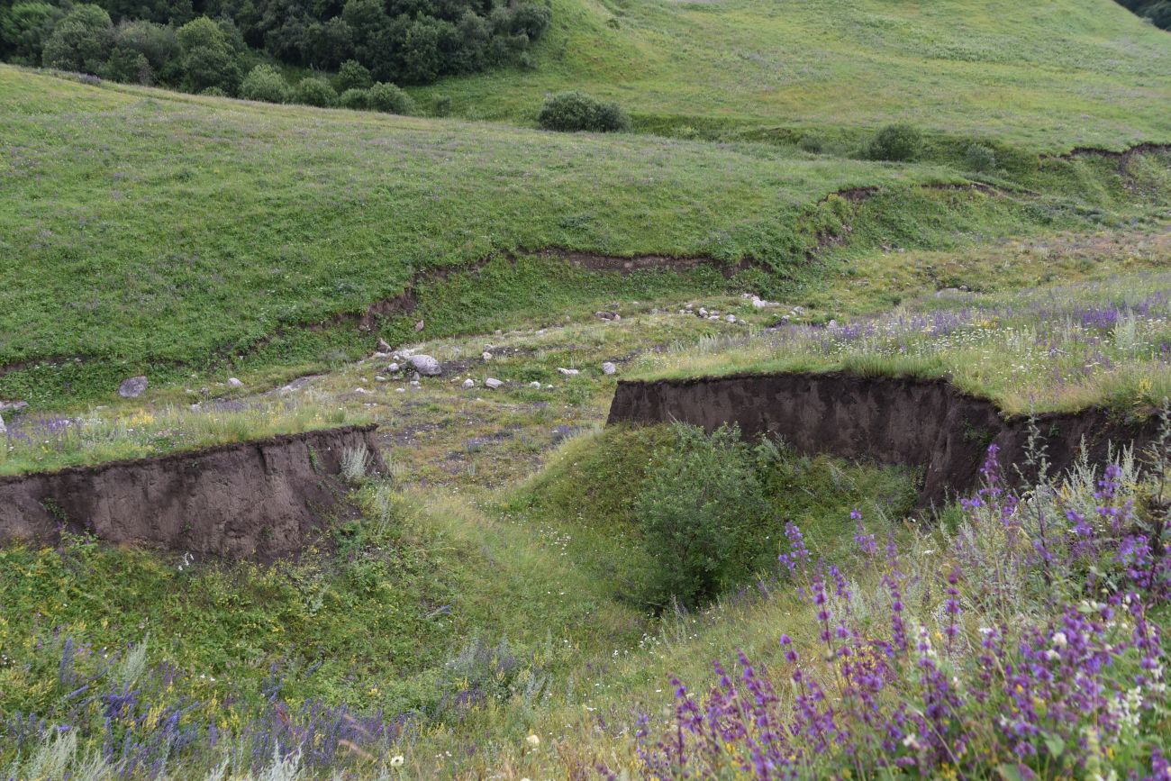 Урочище Лялах и окрестности, image of landscape/habitat.
