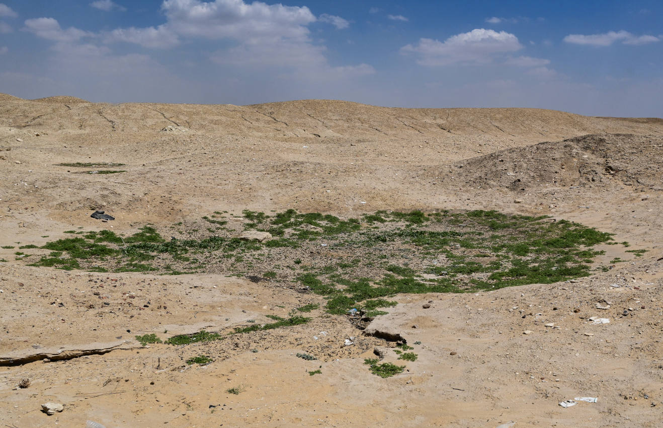 Саккара, image of landscape/habitat.