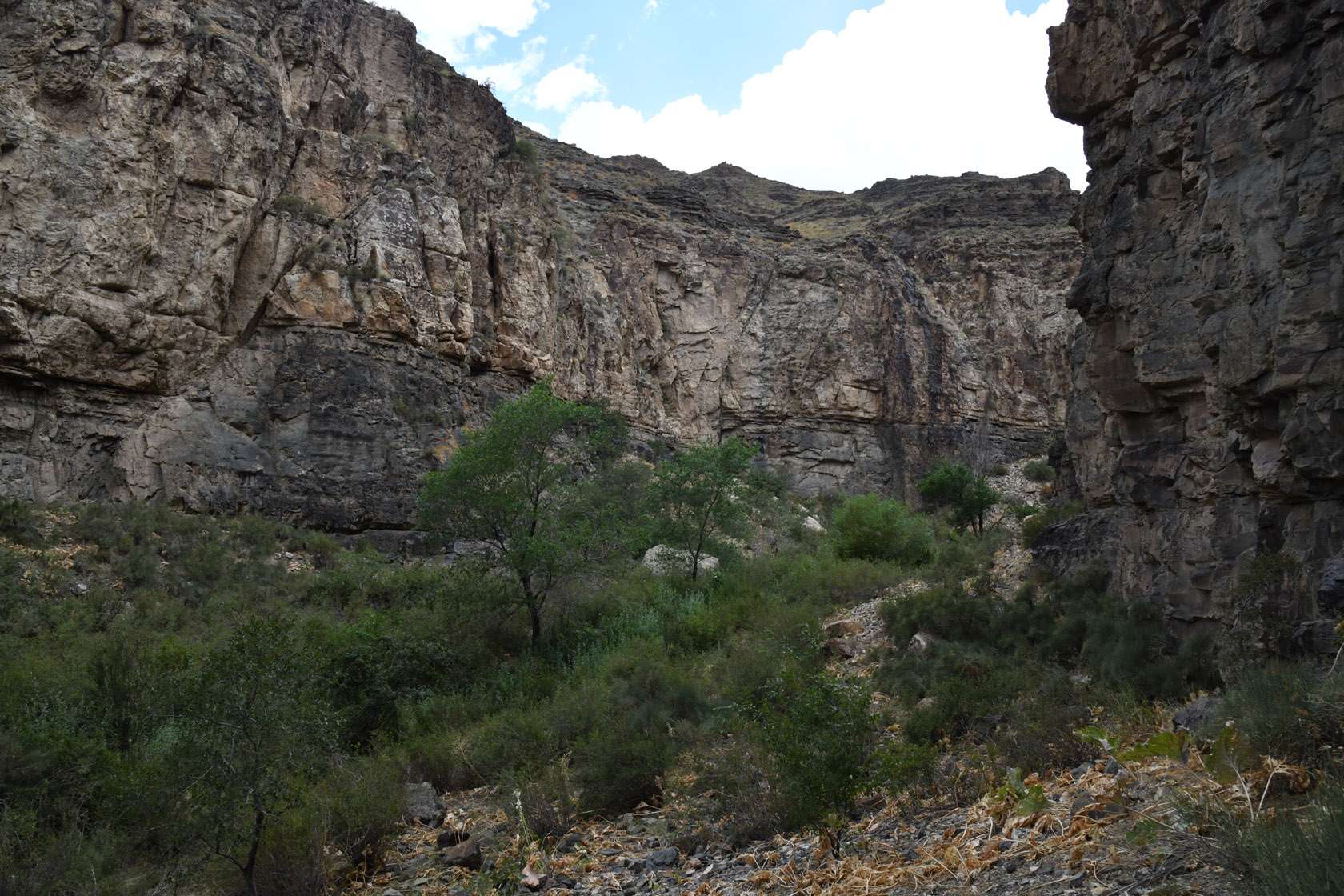 Тайгак, image of landscape/habitat.