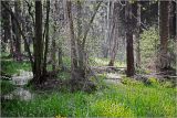 Окрестности Хрипани, image of landscape/habitat.