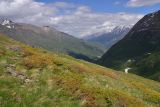Image of landscape